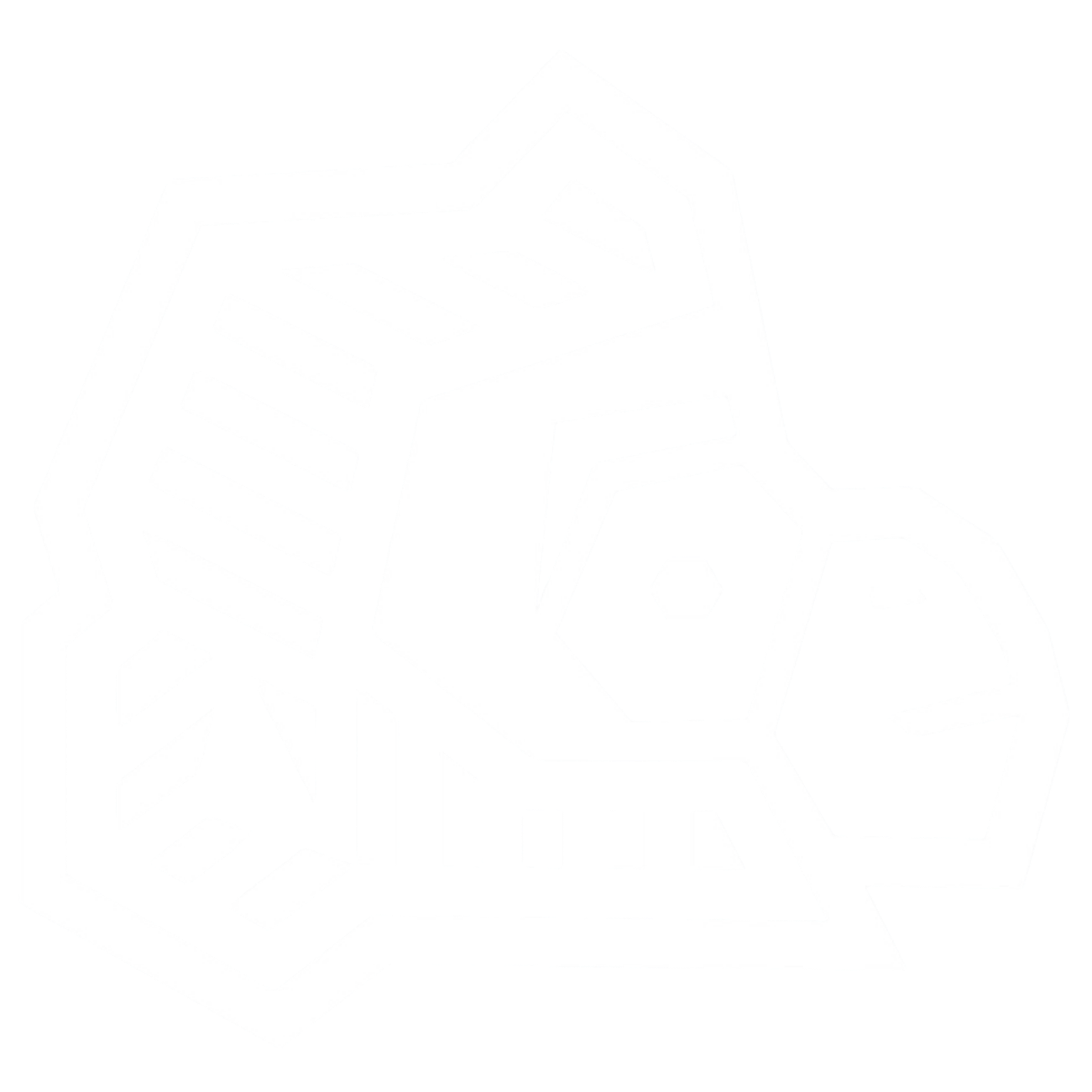 Raizen Açai Logo